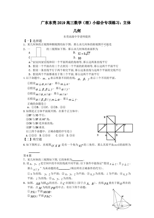 广东东莞2019高三数学(理)小综合专项练习：立体几何