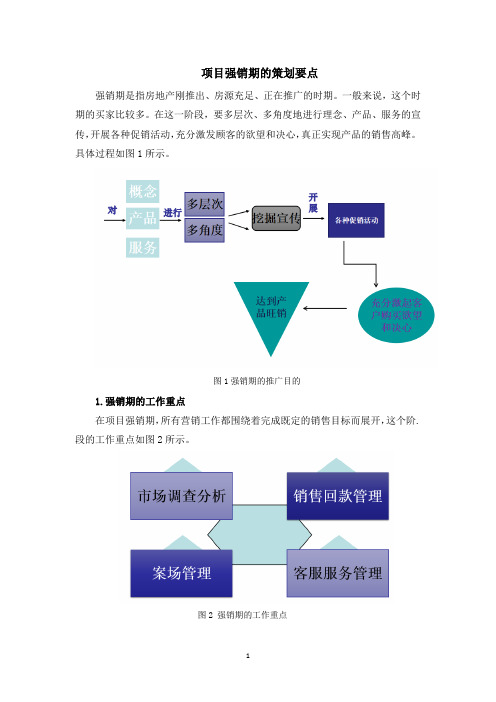 项目强销期的策划要点