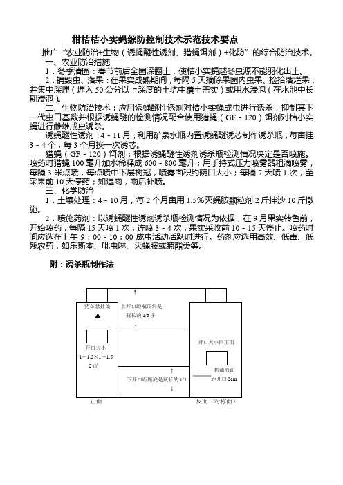 柑桔桔小实蝇综防控制技术示范