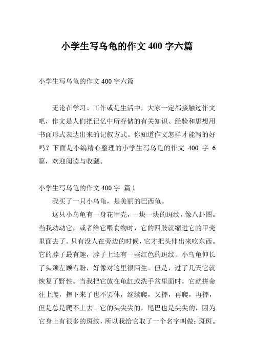 小学生写乌龟的作文400字六篇
