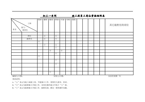 员工培训矩阵图