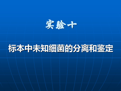 实验7标本中未知细菌的分离和鉴定资料