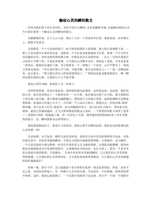 触动心灵的瞬间散文