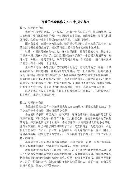 可爱的小仓鼠作文400字_周记作文