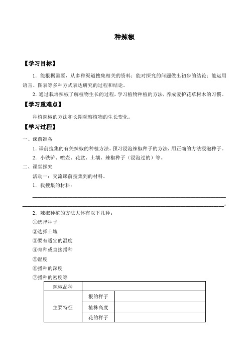 五年级下册科学学案11 种辣椒青岛版
