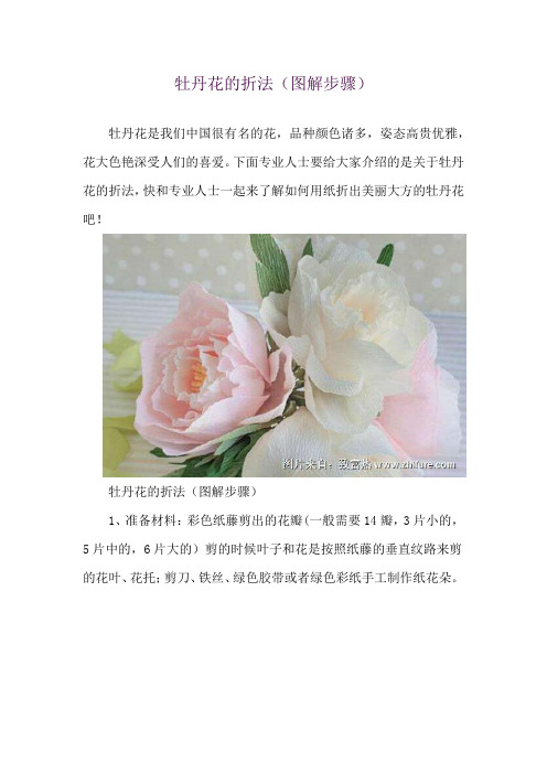 牡丹花的折法(图解步骤)