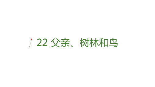 22 父亲、树林和鸟