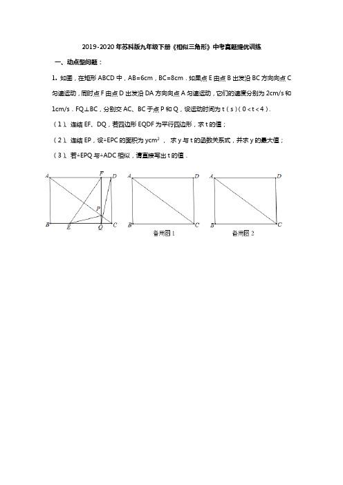 2019-2020学年苏科版九年级下册《相似三角形》中考真题提优训练(无答案)