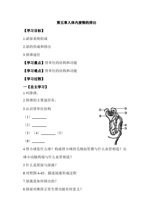 (新)人教版生物七下《第五章人体内废物的排出》导学案(推荐)