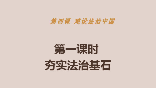 《建设法治中国》九年级上道德与法治