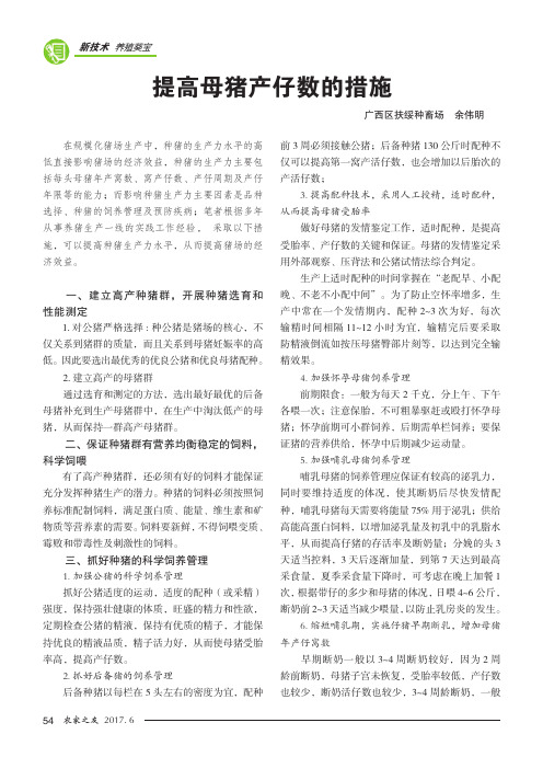 提高母猪产仔数的措施