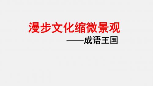 六年级小升初语文专题复习PPT课件：成语复习 (共17张PPT)