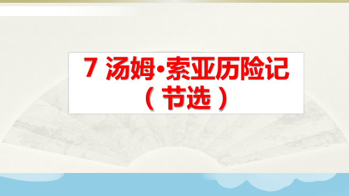 最新部编版六年级下册语文《汤姆.索亚历险记(节选)》精品教学课件