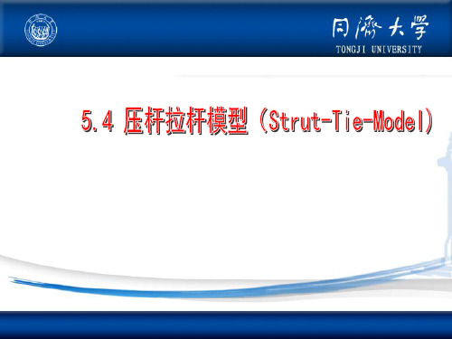 实体混凝土配筋设计—拉压杆模型——同济大学徐栋