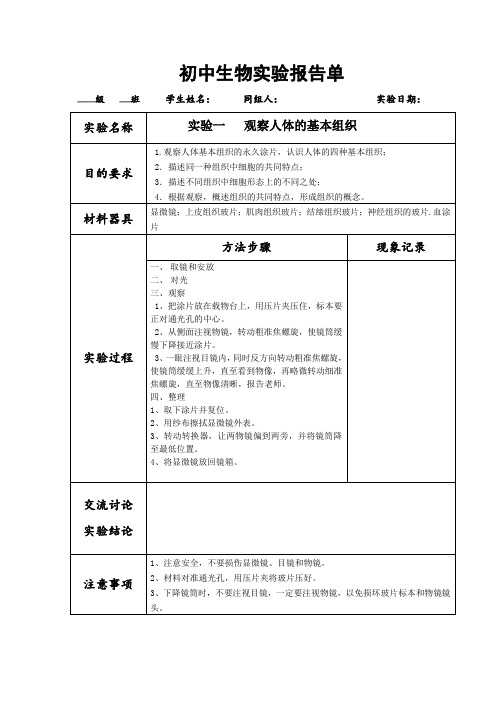 初中生物观察人体的基本组织实验报告
