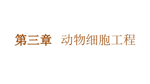 3.1 细胞培养是动物细胞工程的基础(课件)高二生物(浙科版2019选择性必修3)