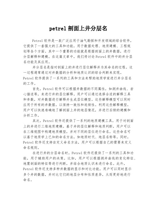 petrel剖面上井分层名