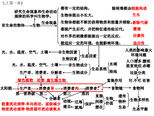 初中生物复习知识点课件中考总复习课件专用(精心制作)