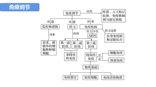 一轮复习免疫调节