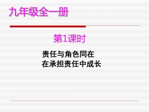 九年级政治下册第一单元复习课(课件)