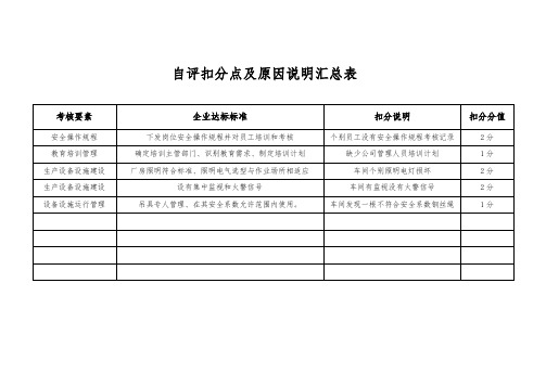 自评扣分点及原因分析汇总表