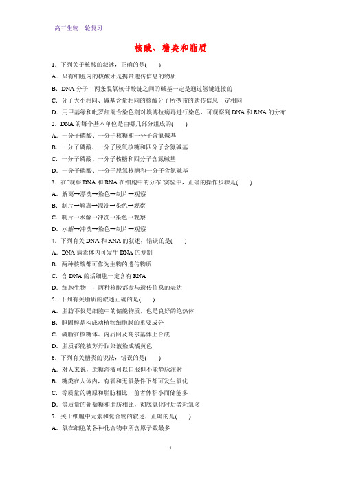 高三生物一轮复习课时作业15：核酸、糖类和脂质 练习