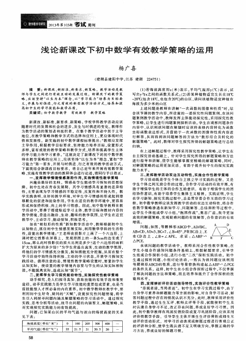 浅论新课改下初中数学有效教学策略的运用