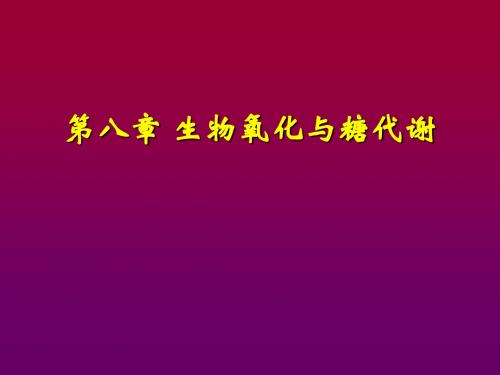 第八章 生物氧化与能量代谢