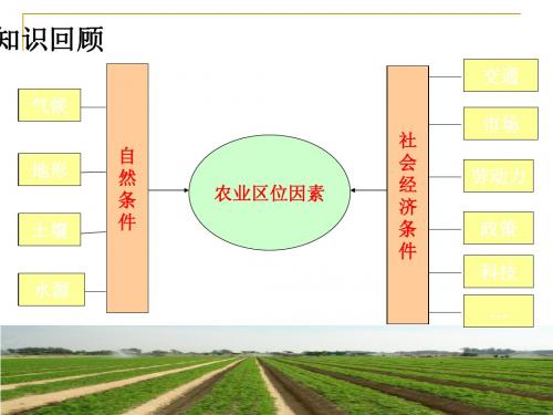 以种植业为主的农业地域类型ppt31(3份打包) 人教课标版