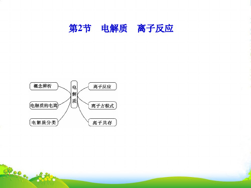 山东省高考化学一轮复习 第2章第2节 电解质 离子反应课件