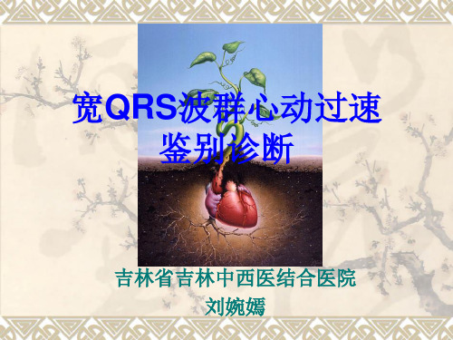 宽QRS波心动过速鉴别诊断ppt课件