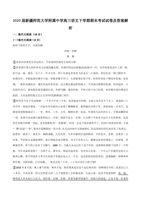 2020届新疆师范大学附属中学高三语文下学期期末考试试卷及答案解析