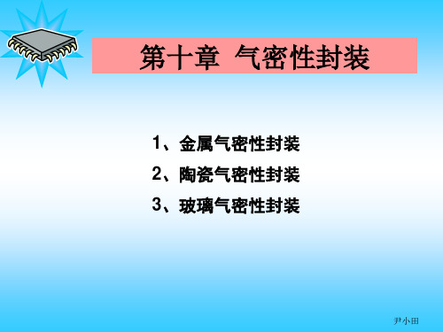 第十章 气密性封装