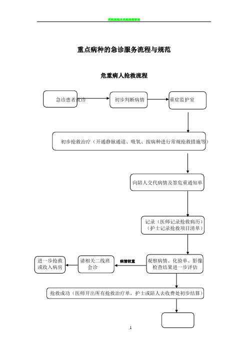 重点病种的急诊服务流程与规范