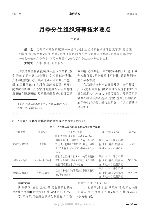 月季分生组织培养技术要点