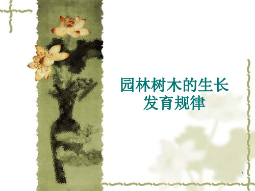 园林树木生长发育规律_课件