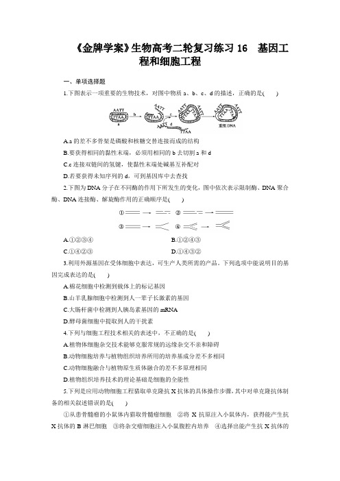 《金牌学案》生物高考二轮复习练习16 基因工程和细胞工程