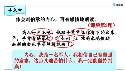 2020年优质精选小学课件  1-3年级课件精选  11 军神_31-35