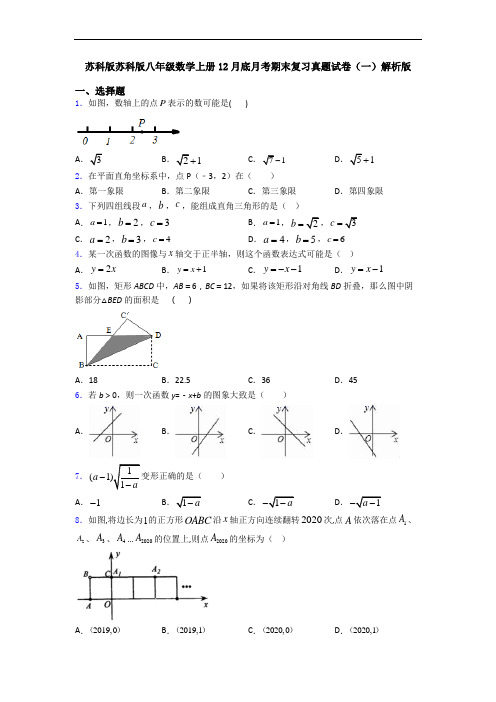 苏科版苏科版八年级数学上册12月底月考期末复习真题试卷(一)解析版