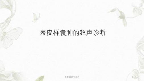 表皮样囊肿的超声ppt课件