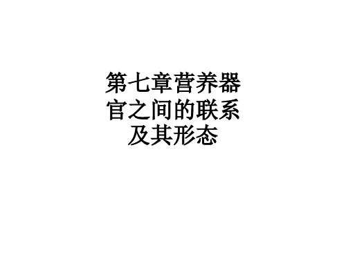 第七章营养器官之间的联系及其形态ppt课件