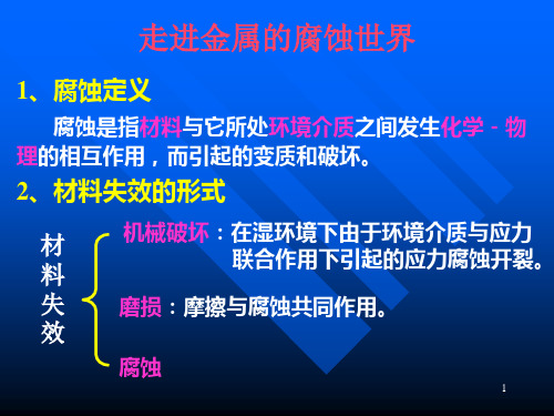 走进金属的腐蚀世界