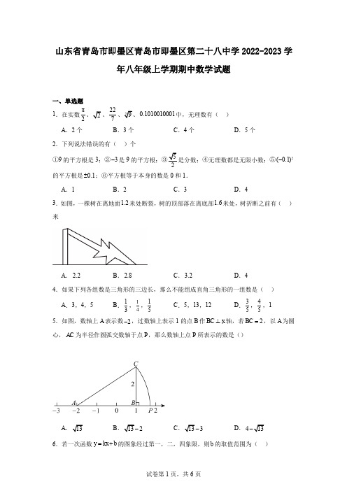 山东省青岛市即墨区青岛市即墨区第二十八中学2022-2023学年八年级上学期期中数学试题