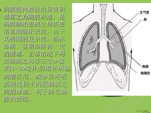 胸腔积液诊断进展