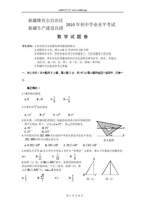 2010年新疆建设兵团