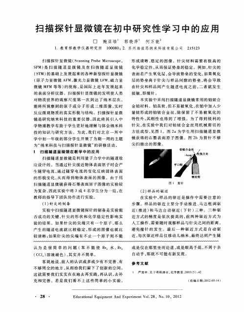 扫描探针显微镜在初中研究性学习中的应用