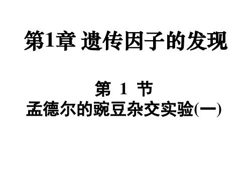 人教版 高一生物 必修二 第一章 第一节 孟德尔的豌豆杂交试验(一)  课件