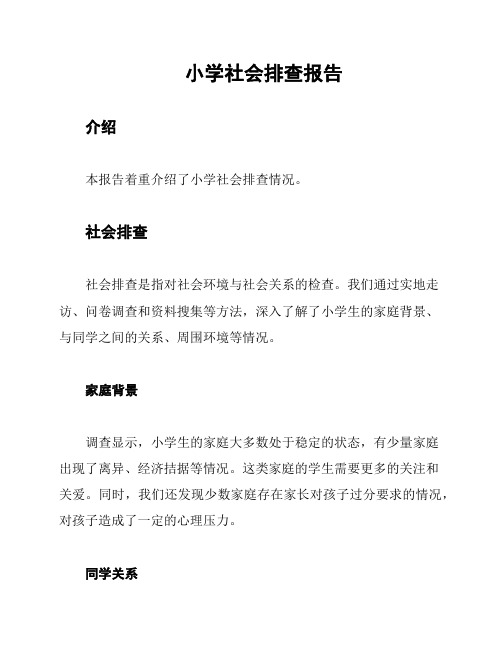 小学社会排查报告