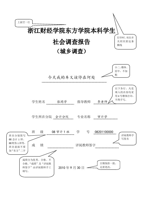 城乡调查报告格式规范示例