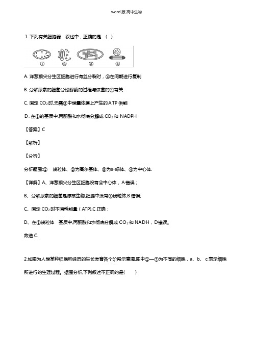 青海省西宁市第四高级中学、第五中学、第十四中学三校最新高三下学期4月联考试卷生物 解析版